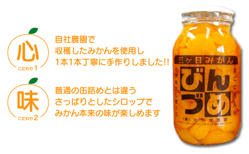 三ヶ日みかん　みかんの瓶詰詰め合わせ3本セット（900g×3本セット）