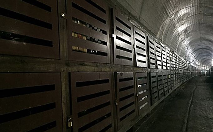 鉄道トンネルの天然ワインセラーＢラック２００本３年
