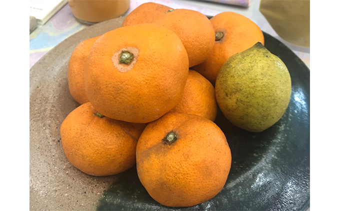 グルテンフリー米粉100％パン 自然農法みかんパン1本