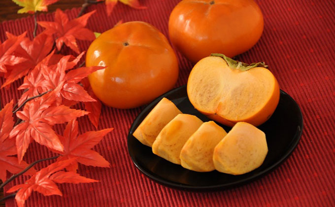 【2025年11月中旬より順次発送】【秋の味覚】幻の柿 次郎柿！木成り完熟の逸品6個入り（1.5kg） 果物 フルーツ かき 冬の味覚 産地直送 静岡県産 浜松市産 ギフト