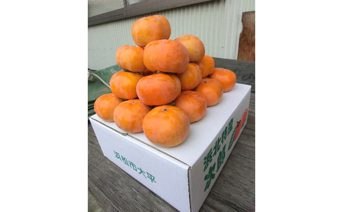 【2025年11月中旬より順次発送】【幻の柿】次郎柿ワケあり（小キズあり）お徳用みんなでシェア（7kg）26個～32個入り 果物 フルーツ かき 冬の味覚 産地直送 静岡県産 浜松市産