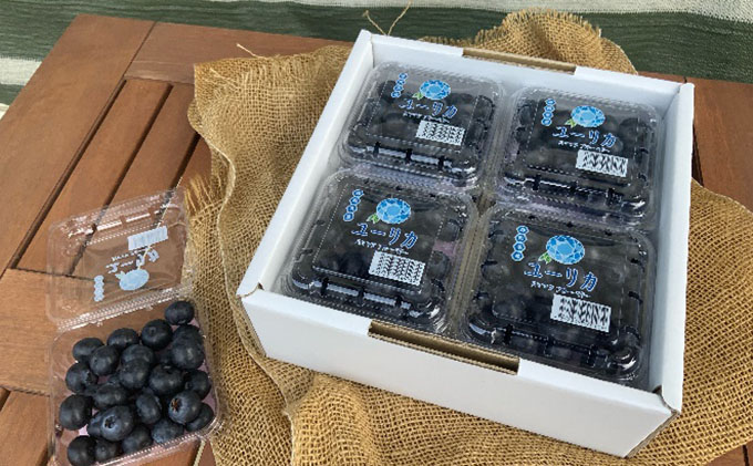 【2024年4月下旬より順次発送】太陽いっぱい大地のジュエリー【浜松産ブルーベリー】400g【配送不可：離島】