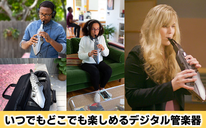 【Roland】ウインドシンセサイザー/エアロフォンGO【配送不可：離島】