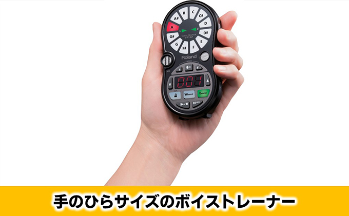 【11月上旬お届け】【Roland】ボーカルトレーナー/VT-12-BK【配送不可：離島】 雑貨 日用品 オーディオ機器
