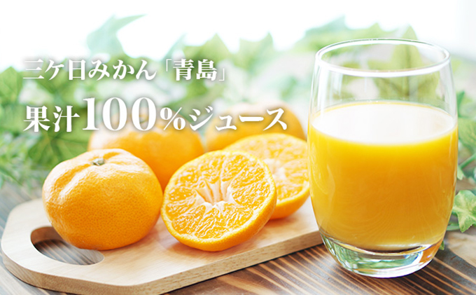 三ヶ日みかんジュース「浜名湖まるごと純粋搾り」720ml 2本【静岡 三ヶ日 みかん ジュース】 果汁飲料 野菜飲料 フレッシュ