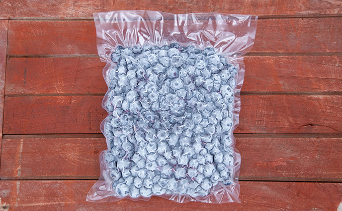 【2024年5月中旬以降順次発送】冷凍加工用ブルーベリー 1kg 【配送不可：離島】