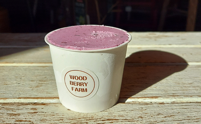 【2024年6月上旬以降順次発送】ブルーベリージェラート　6個入り【配送不可：離島】