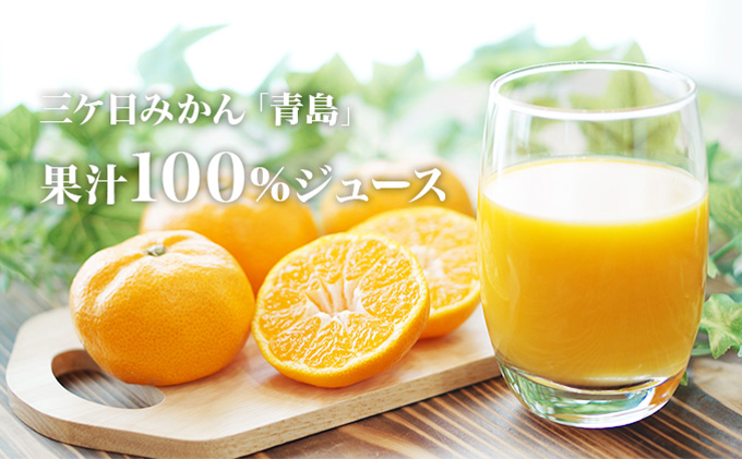 三ヶ日みかんジュース「浜名湖まるごと純粋搾り」720ml 6本【静岡 三ヶ日 みかん ジュース】 果汁飲料 野菜飲料 三ケ日みかん 青島