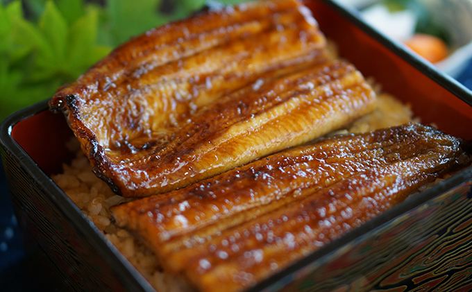 浜名湖産 鰻の蒲焼き2本（約130g×2本）【配送不可：離島】