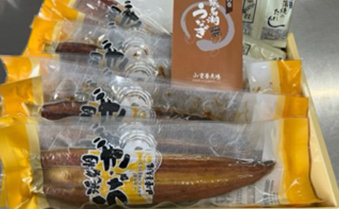 【2025年8月15日頃～順次発送予定】浜名湖産鰻　蒲焼 約160g×10本 セット 土用の丑の日 丑の日 うなぎ 静岡県産 浜松