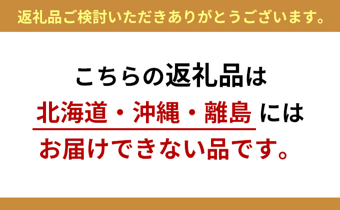 光の楽園　ベンジャミンスリム1.6【配送不可：北海道・沖縄・離島】 インテリア 造花
