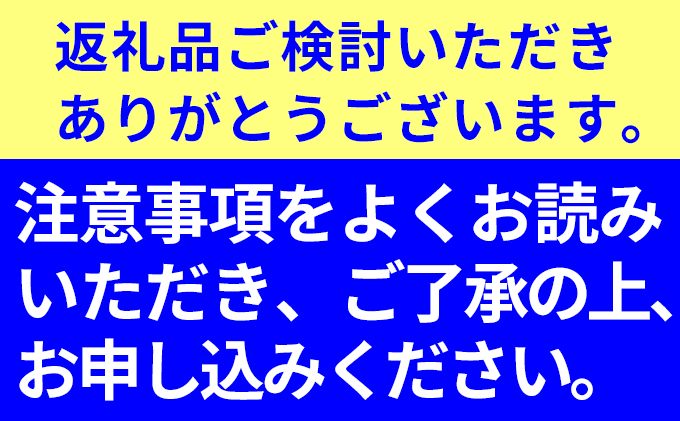 長生き次郎柿「長寿郎（ちょうじゅろう）」2L～Mサイズ 2.5kg 10～16玉入り 11月発送 柿 かき 果物 くだもの フルーツ 旬の果物 旬のフルーツ 秋の味覚 次郎柿 デザート 静岡 静岡県 高級 浜松市【配送不可：離島】