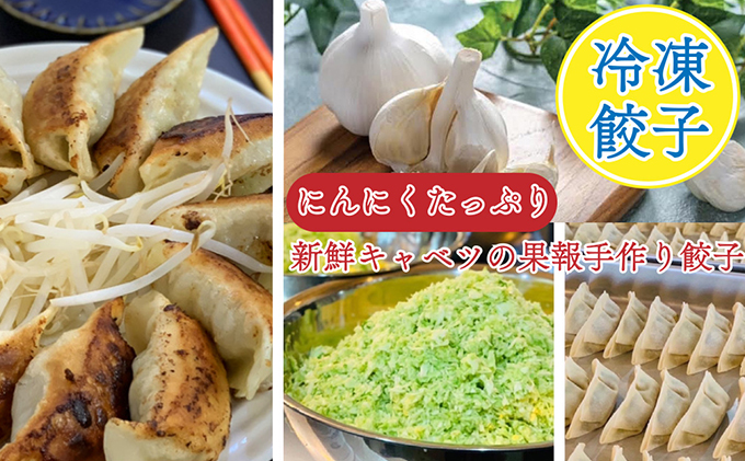 浜松餃子 果報のぎょうざ 1パック（17個入り） 4セット（合計68個）冷凍