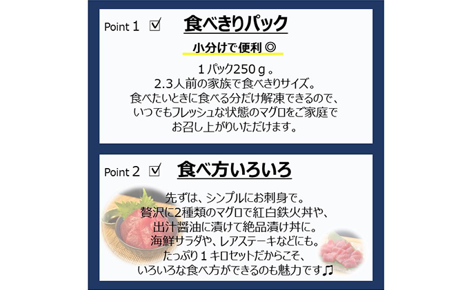 【3回定期便】 マグロセット 定期便 3ヶ月 バチマグロ びんちょうまぐろ 中トロ 切り落とし セット 1kg (各250g×2パック) 刺身 刺し身 まぐろ 鮪 マグロ 魚 魚介 魚介類 高級 まぐろ切り落とし 静岡 静岡県 浜松市 3回 定期 【配送不可：離島】