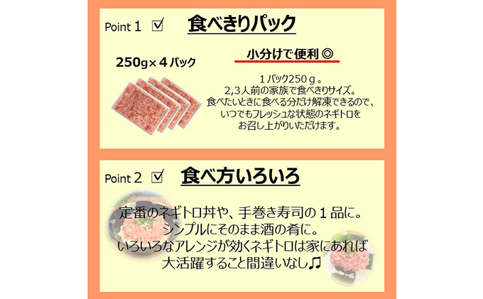 【6回定期便】 SANKO海商 ネギトロ 定期便 6ヶ月 冷凍ネギトロ 1kg (250g×4パック) セット 詰め合わせ ねぎとろ まぐろ 鮪 マグロ 魚 魚介 魚介類 冷凍 静岡 静岡県 浜松市 6回 定期 【配送不可：離島】