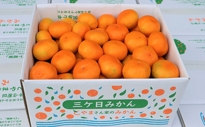 【2025年10月下旬より順次発送】三ヶ日みかん（極早生3kg）光センサー選果 果物類 柑橘類 フルーツ 安全 おいしい 高糖度 濃厚 甘い サイズ混在 静岡県 浜松市