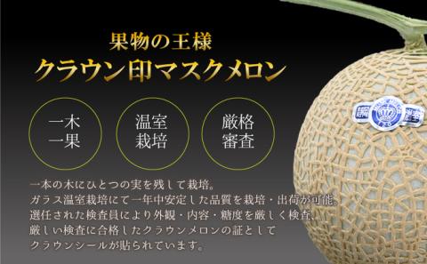 厳選 メロン クラウンメロン 山等級 1.4kg以上 1玉 フルーツ 果物 くだもの 高級フルーツ 高級果物 季節のフルーツ 季節の果物 旬のフルーツ 旬の果物 マスクメロン 青肉 めろん 静岡メロン 静岡 静岡県 浜松市 【配送不可：離島】