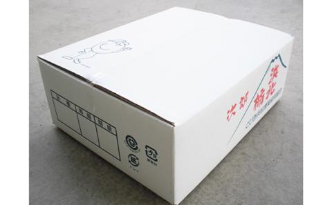 浜北次郎柿 秀品 約7kg サイズ 2LまたはL 目安 24～28玉【2025年11月中旬より順次発送】 果物類