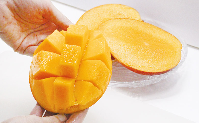 【受付期間:2025年7月10日まで】完熟マンゴー 浜松赤土産 800g以上～900g未満 期間限定 フルーツ 贅沢 果物 果汁 芳醇 上質 濃厚 ジューシー 食品 デザート おやつ ご褒美 高糖度 国産 産地直送 特産品 浜松市