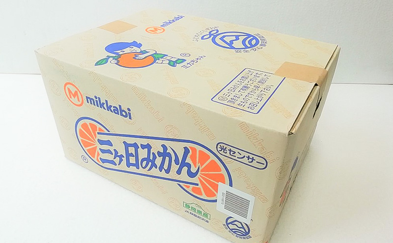 静岡三ヶ日産 早生みかん 8kg/箱