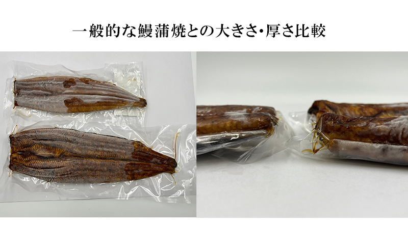 【訳アリ・数量限定】浜名湖鰻蒲焼1本（約250ｇ） ビッグサイズ　うなぎ ウナギ 鰻 蒲焼 蒲焼き 魚貝類 訳あり 土用の丑の日 静岡県 浜松市