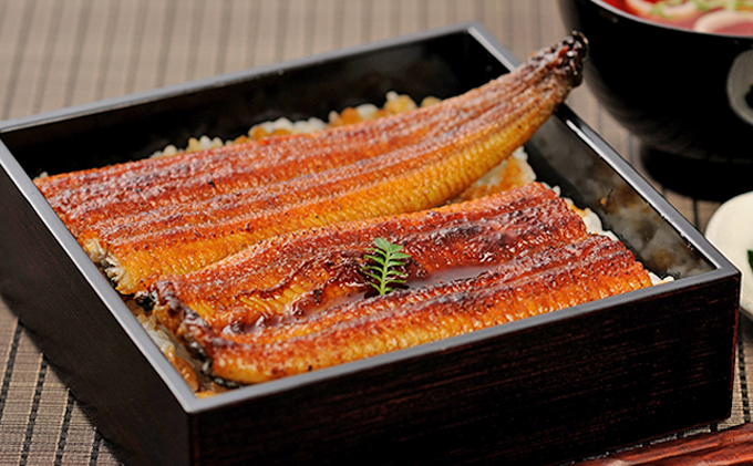 ＜うなぎ＞  大和養魚  浜名湖うなぎ蒲焼2尾・白焼2尾  計400g【遠鉄百貨店×高島屋】