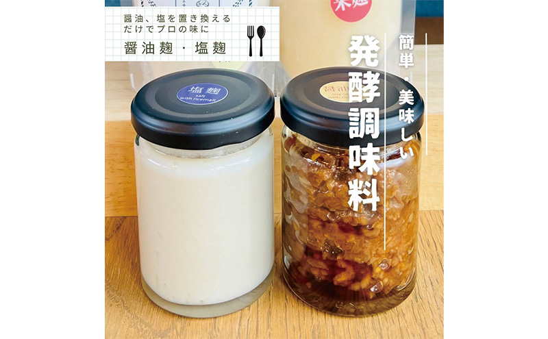 甘酒 発酵 食べる甘酒 16個 調味料 2個 セット 詰め合わせプレーン、 いちご、 ブルーベリー、 はとむぎ、 モリンガ、 ローカカオ、ビーツ、 しょう油麹 、塩麹 、冷凍 加工食品 飲む点滴 飲むスキンケア