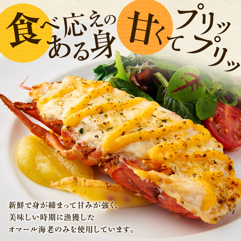 オマール海老のグラタン 4食入り Taste Fromage焼き セット 詰め合わせ オマール海老 グラタン エビグラタン チーズ 惣菜 加工食品 加工品 冷凍 冷凍食品 温めるだけ 簡単調理 静岡 静岡県 浜松市 【配送不可：北海道・沖縄・離島】