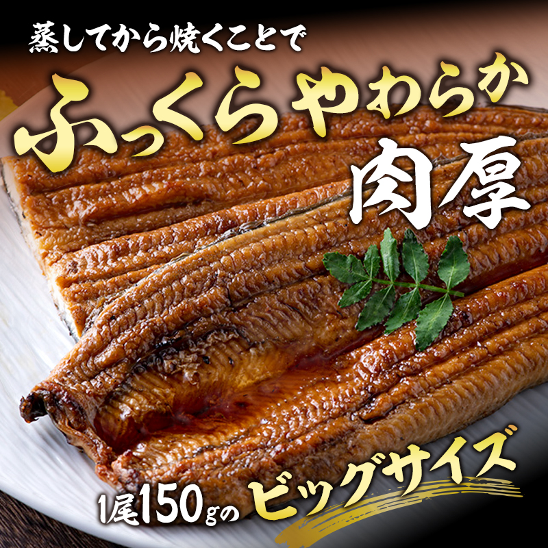特上 国産うなぎ 浜名湖産 長蒲焼き 2尾 合計300g以上 山椒 たれ セット 詰め合わせ 国産ウナギ 国産 うなぎ 鰻 蒲焼き うなぎの蒲焼 小分け 惣菜 冷凍 ギフト 土用の丑の日 静岡 静岡県 浜松市 【配送不可：離島】