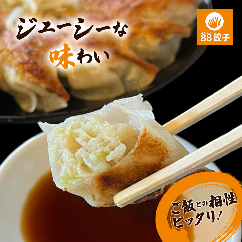 浜松餃子 定期便 3ヶ月 88ぱちぱち餃子 80個 (40個×2種) セット 詰め合わせ にんにく餃子 しょうが餃子 ぎょうざ 餃子 ギョーザ 冷凍餃子 冷凍ぎょうざ 冷凍 冷凍食品 中華 惣菜 食品 おかず 静岡 静岡県 浜松市 3回 定期 【配送不可：離島】