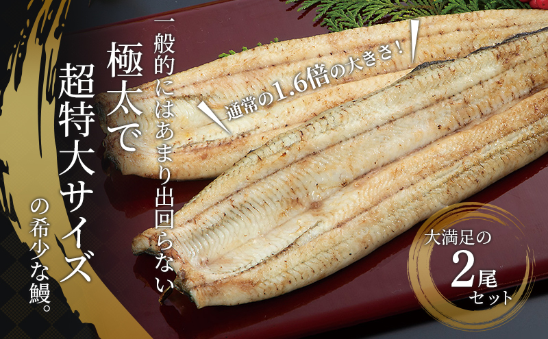 国産うなぎ 浜名湖産 長白焼き 2尾 (200g×2本入) 山椒 たれ セット 詰め合わせ 海老仙 国産ウナギ 国産 ウナギ 鰻 白焼き 白焼きうなぎ 小分け おすすめ 贈答用 土用の丑の日 静岡 静岡県 浜松市