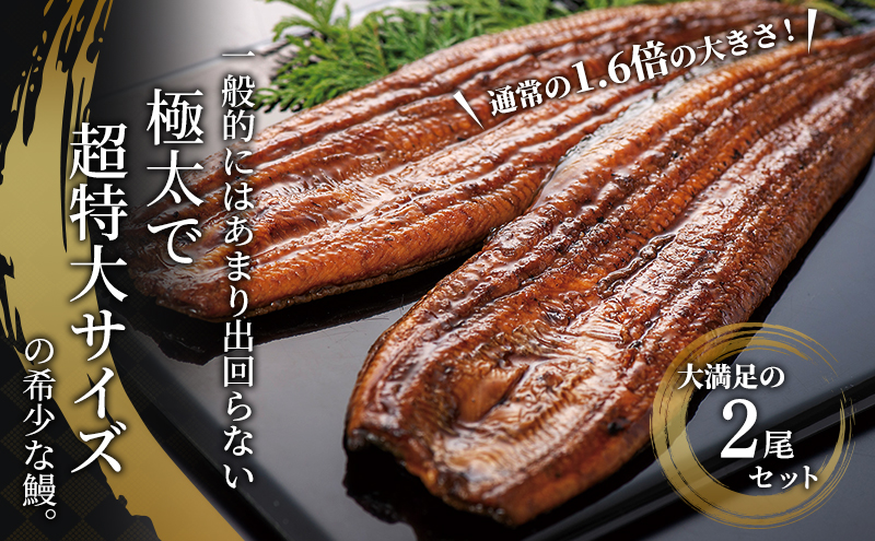 国産うなぎ 浜名湖産 蒲焼き 2尾 (200g以上×2本入) 山椒 たれ セット 詰め合わせ 海老仙 国産ウナギ 国産 うなぎ ウナギ 鰻 うなぎの蒲焼 鰻の蒲焼き 小分け おすすめ 贈答用 土用の丑の日 静岡 静岡県 浜松市