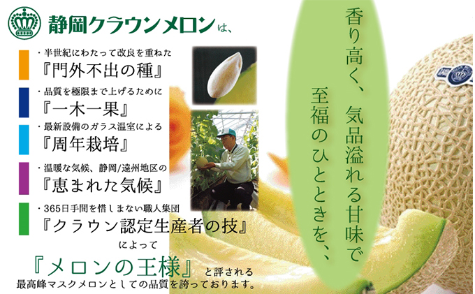 メロン クラウンメロン 山等級 特大玉 1玉 フルーツ 果物 くだもの 高級フルーツ 高級果物 季節のフルーツ 季節の果物 旬のフルーツ 旬の果物 マスクメロン 青肉 めろん 静岡メロン 静岡 静岡県 浜松市 【配送不可：離島】