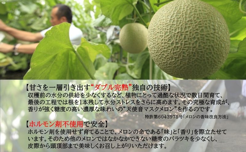 天使音（あまね）マスクメロン　グラン・べべ （1.0kg～1.3kg） 1玉 【配送不可：離島】 フルーツ 果物 メロン 静岡県 浜松市 高級