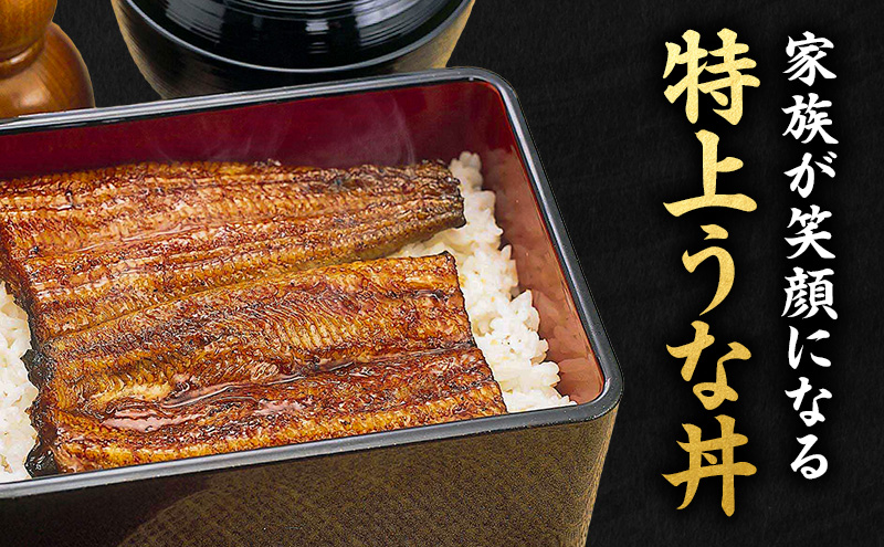 うなぎ 浜松 浜名湖産 鰻 蒲焼 約100g× 2尾 たれ 10ml×2 小分け セット 土用の丑の日 丑の日 国産うなぎ 浜松うなぎ 浜名湖うなぎ 国産 蒲焼き 夏バテ防止 浜名湖 産地直送 冷凍 冷凍配送 静岡 静岡県 浜松市