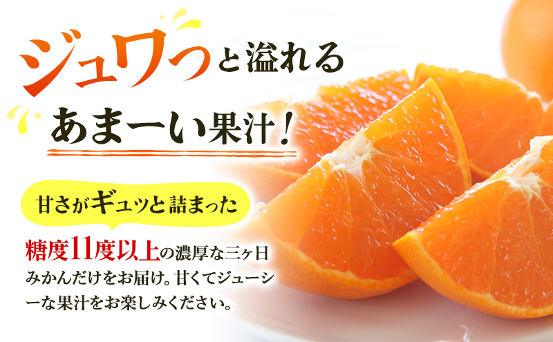 三ヶ日みかん 早生 8kg S～L サイズ混在 11月下旬より順次発送 みかん ミカン 蜜柑 早生みかん 三ヶ日 果物 くだもの フルーツ 旬の果物 旬のフルーツ 柑橘 柑橘類 糖度 静岡 静岡県 浜松市