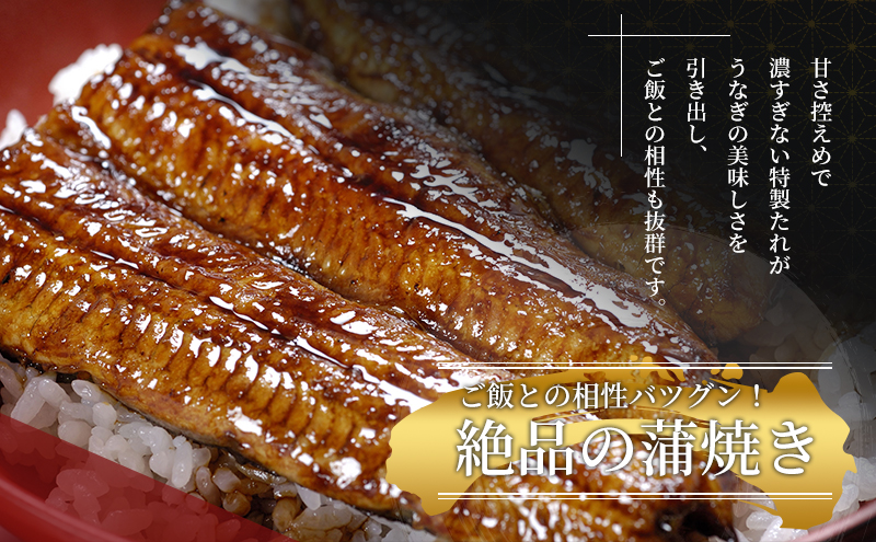 国産うなぎ 浜名湖産 蒲焼き 3尾 白焼き 4尾 合計700g 山椒 たれ セット 詰め合わせ 海老仙 国産ウナギ 国産 うなぎ ウナギ 鰻 うなぎの蒲焼 白焼きうなぎ 小分け おすすめ 贈答用 土用の丑の日 静岡 静岡県 浜松市