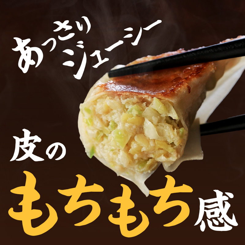 元祖 浜松餃子 石松の定番餃子詰合せ 60個入り【配送不可：離島】