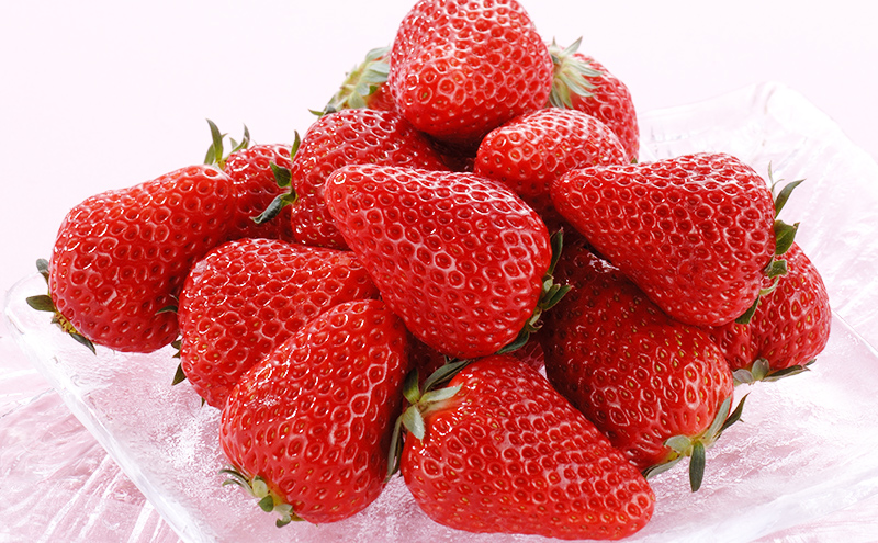 【2026年1月中旬より順次発送】紅ほっぺいちご 約260g×4パック【配送不可：離島】