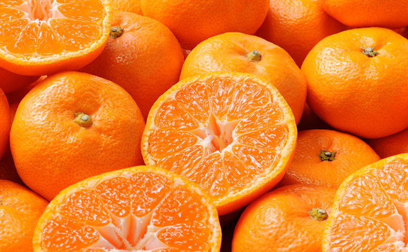 【2026年11月中旬より順次発送】 三ヶ日みかん 早生 8kg M～L 早生みかん みかん 蜜柑 ミカン 果物 くだもの 旬のフルーツ 旬の果物 季節のフルーツ 季節の果物 柑橘 柑橘類 静岡 静岡県 浜松市