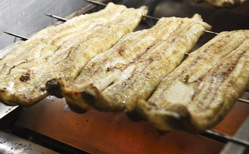 国産手焼きうなぎ白焼き 3本入り 110g以上×3尾 計330g以上 静岡 浜松市