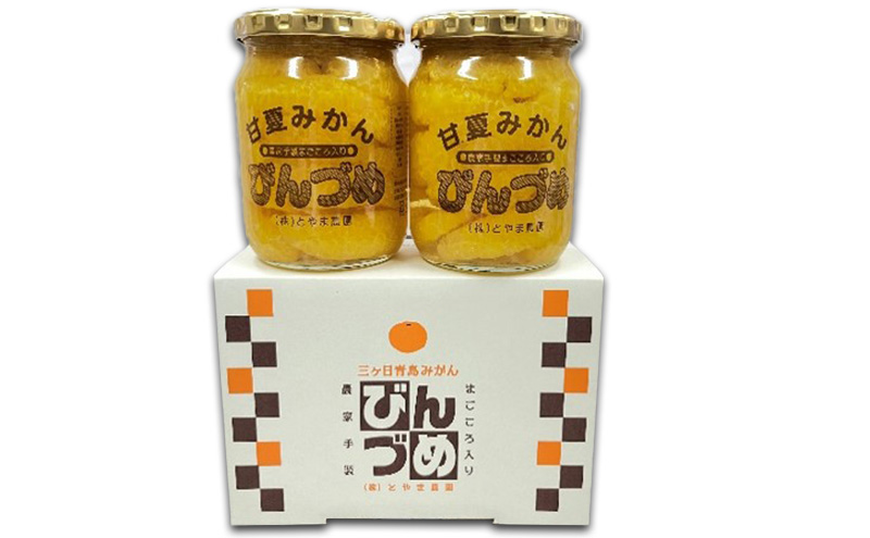 甘夏みかんビン詰め　小瓶2本セット（500g×2本セット）