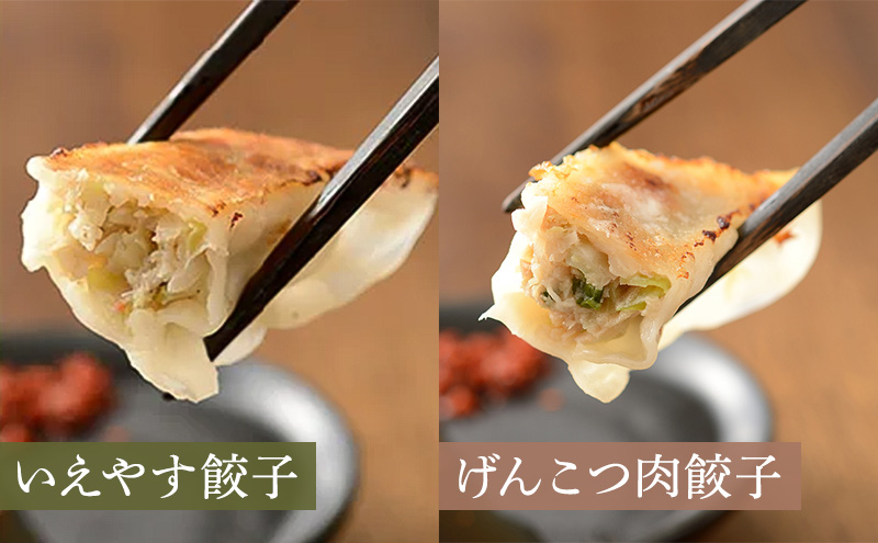 浜松餃子 いえやす餃子 2種 40個 お試し餃子 8個 セット 詰め合わせ 肉餃子 ぎょうざ 餃子 ギョーザ 冷凍餃子 冷凍ぎょうざ 冷凍 冷凍食品 中華 惣菜 食品 おかず 食べ比べ 静岡 静岡県 浜松市 【配送不可：離島】