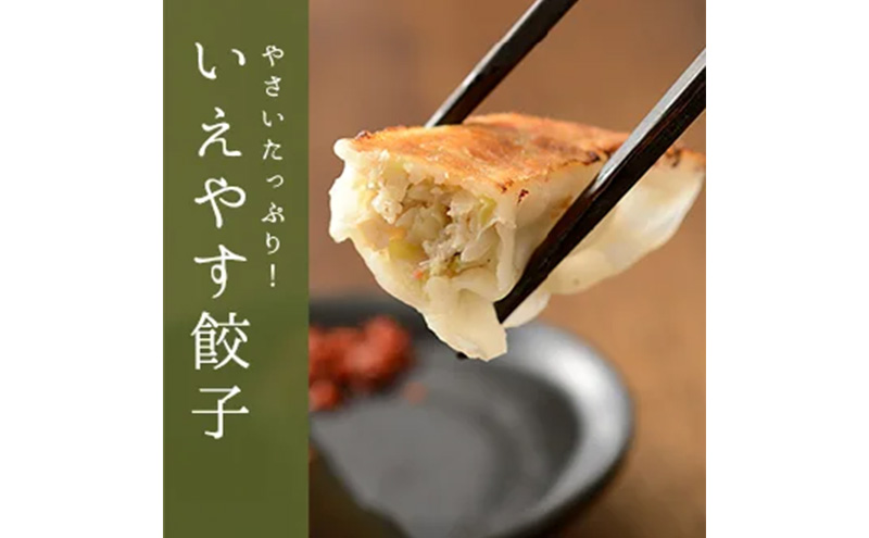 「浜松餃子」いえやす餃子 2種 100個セット【配送不可：離島】
