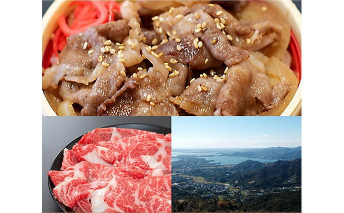 静岡祭丼　三ヶ日牛丼セット【配送不可：離島】 牛肉 お肉 加工品 惣菜 冷凍