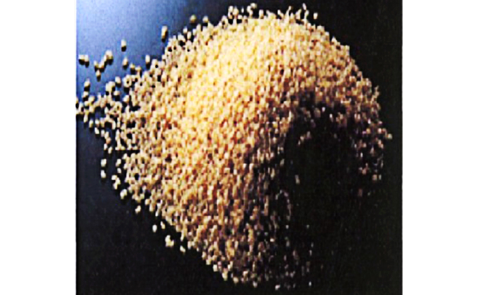 【令和4年産】静岡県産米『歓喜の風』精米5kg