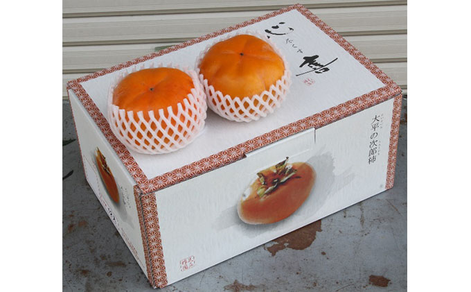 【2025年11月中旬より順次発送】幻の 次郎柿 2L 3kg 12個 贈答用 大玉 11月中旬より順次発送 柿 かき 果物 くだもの フルーツ 旬の果物 旬のフルーツ 秋の味覚 静岡県 浜松市