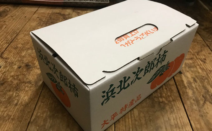 【2025年11月中旬より順次発送】【幻の柿】次郎柿ワケあり（小キズあり）3kg 12個入り 果物 フルーツ かき 冬の味覚 産地直送 静岡県産 浜松市産