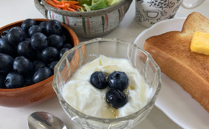 【2024年4月下旬より順次発送】太陽いっぱい大地のジュエリー【浜松産ブルーベリー】400g【配送不可：離島】