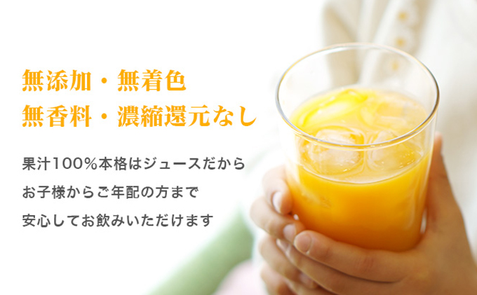 三ヶ日みかんジュース「浜名湖まるごと純粋搾り」720ml 1本【静岡 三ヶ日 みかん ジュース】 果汁飲料 野菜飲料 フレッシュ